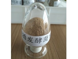 北京白酒发酵微生态菌剂